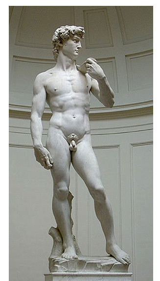 david